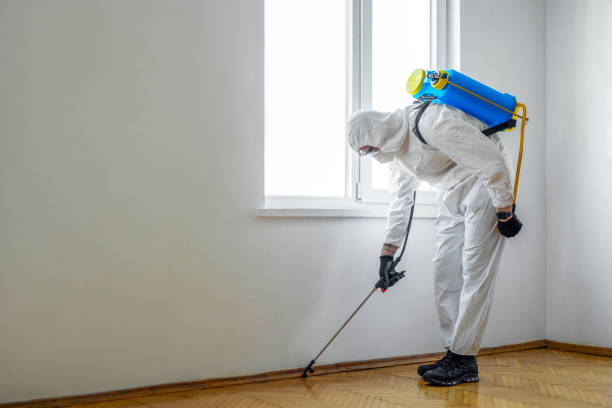 Best Emergency Pest Control  in Delevan, NY